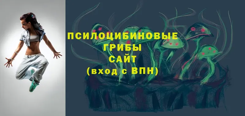 блэк спрут зеркало  Кирсанов  Галлюциногенные грибы мухоморы  магазин продажи  